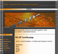 Screenshot of the SpIn website